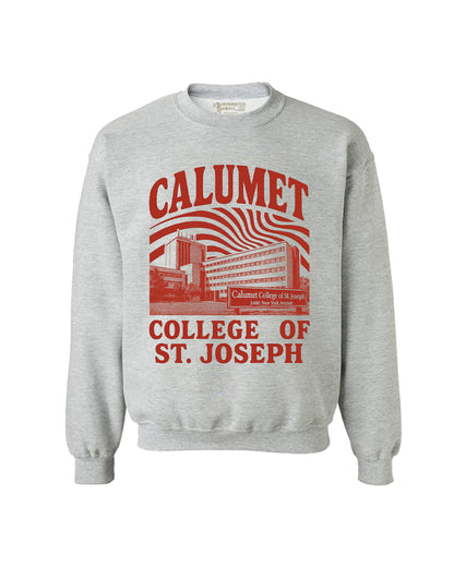 Retro College Crewneck Sweatshirt