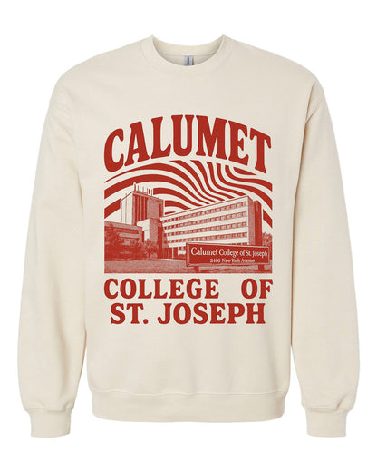 Retro College Crewneck Sweatshirt