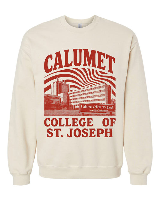 Retro College Crewneck Sweatshirt